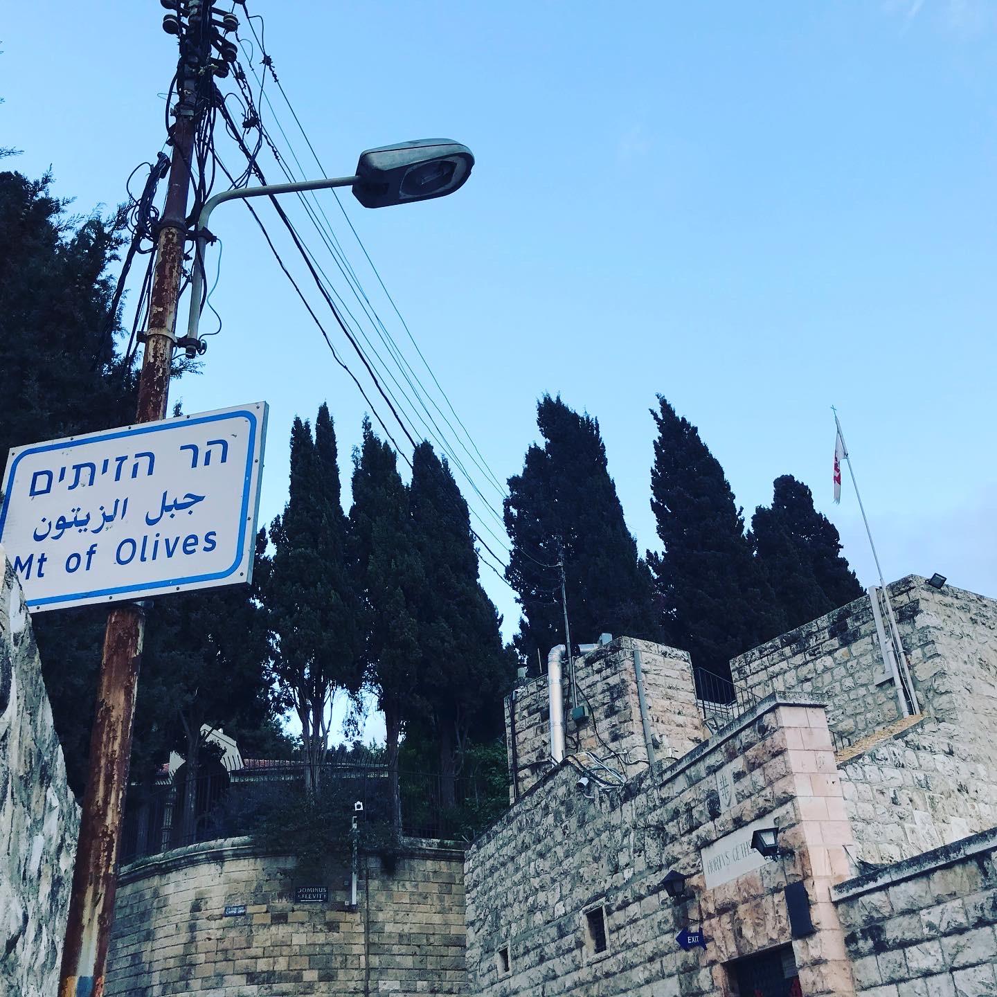 View of the Mount of Olives in Jerusalem